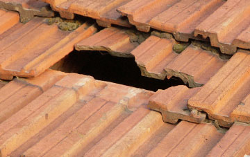 roof repair Great Swinburne, Northumberland