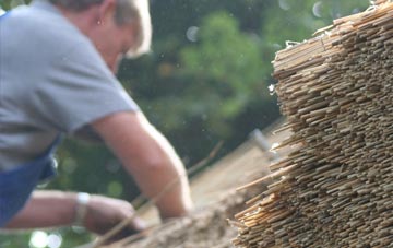 professional Great Swinburne thatchers